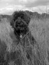 Helen Platt's picture